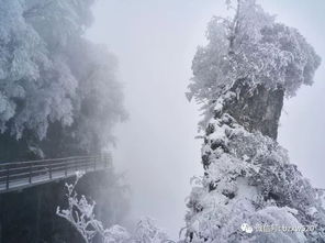 萧索的拼音和意思