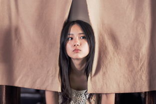 cherish翻译中文，cheri是什么意思