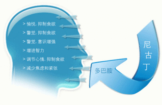 尼古丁英文怎么读，尼古丁 英文
