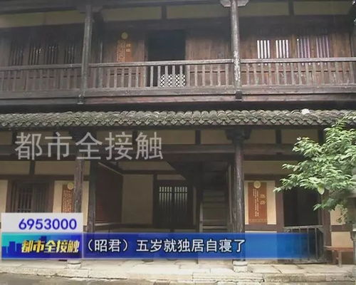 生长明妃尚有村是谁写的，群山万壑赴荆门 生长明妃尚有村
