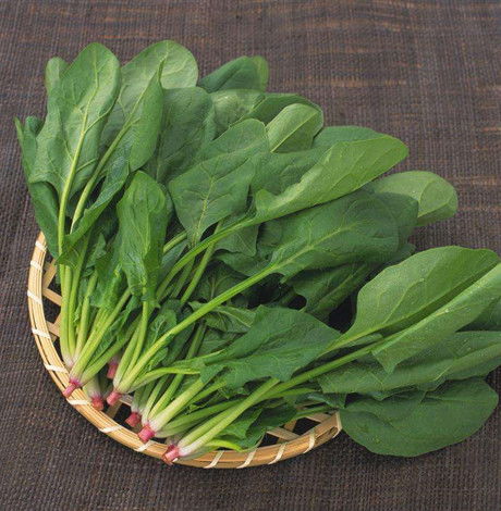 ﻿菠菜作用与功效,有什么副作用?