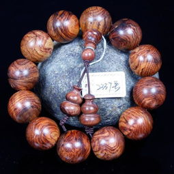 香木盆景是什么