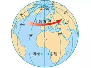经组词谢谢了