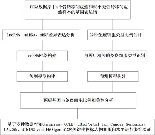 新陈代谢 英语怎么说