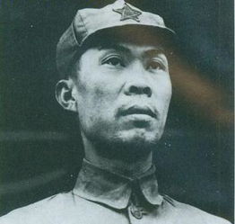 刘畴西的重大错误，刘畴西烈士的子女