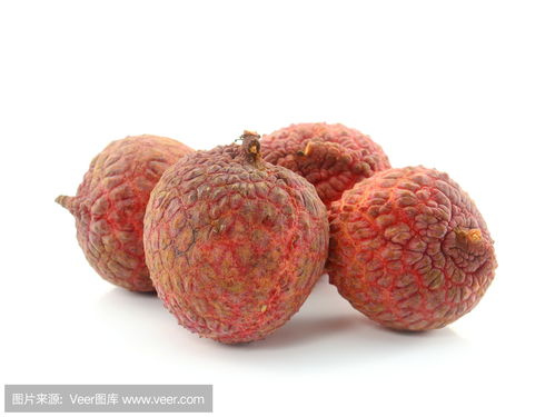 litchi飞行软件，litchi英语怎么读