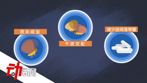 余旭完整尸体到底找到了吗 余旭牺牲原因曝光