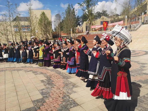 千锤万凿出深山是化学变化吗，千锤万凿出深山,烈火焚烧若等闲翻译
