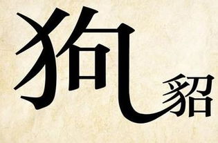 狗字成语大全四字成语，猪字成语大全四个字开头