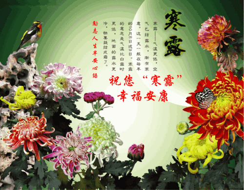 寒露是几月几号，寒露节气的特点和风俗