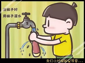 笨蛋的读音笨蛋的读音是什么