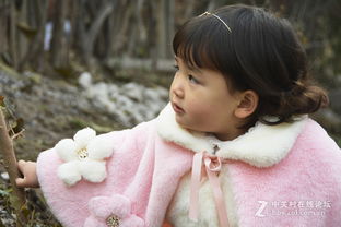 家有儿女初长成是啥意思