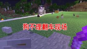 岷怎么读组词，崛怎么读音是什么意思
