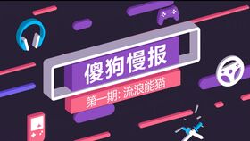 sg是什么意思网络语，apexsg是什么意思