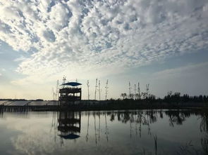 靓丽还是亮丽的风景线，每天清晨,保安训练是一道亮丽的风景线
