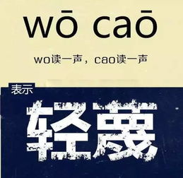 不无轻蔑是什么意思，轻蔑是什么意思四年级