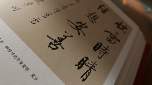 赅是什么意思