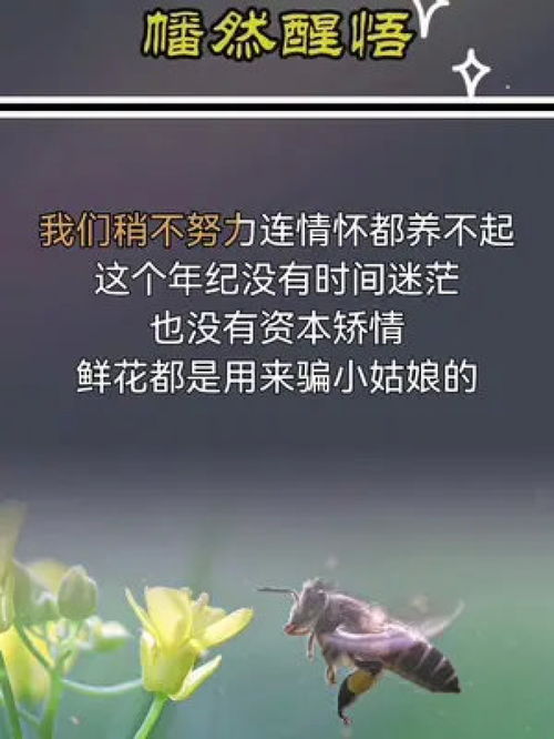 幡然醒悟的意思?