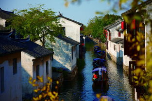 周庄古镇和乌镇哪个更好玩，周庄古镇门票