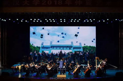 草莓音乐节英文，陪我去天津音乐节英文