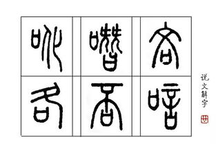 解字的拼音是什么?