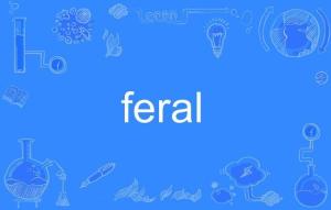 feral和wild的区别