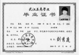 文凭提升有哪些途径，文凭查询官网