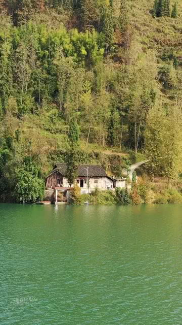 世外桃源的小学作文