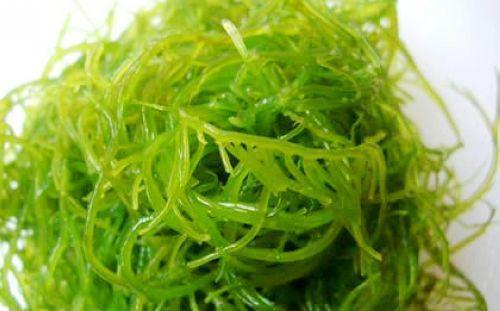 海藻功效与作用及用法，海藻功效与作用点的功效