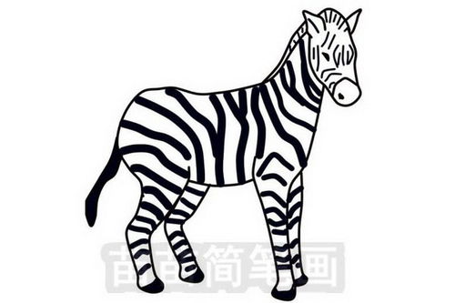 斑马简笔画画法步骤