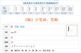 脑的笔顺笔画，脑的笔顺拼音