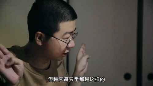 认真的反义词是什么，诚实的反义词是什么 三年级上册