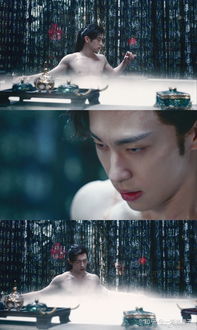 恣意妄为什么意思?恣意妄为怎么读?