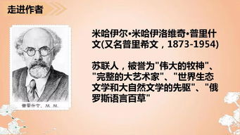 解的多音字注音并组词怎么写的?