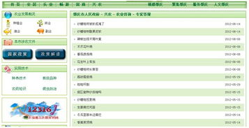 肇庆外语学校的网址是什么?