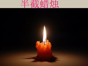 半截蜡烛全篇课文，半截蜡烛是真实的吗