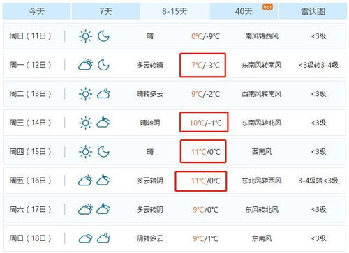 聊城未来十天天气预报