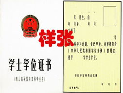 上海同济大学网络教育学院,好吗?