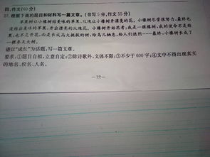 以新为话题的作文800字初中作文议论文，以新为话题的作文700字初中作文