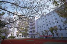 湖北艺术职业学院在哪，湖北艺术职业学院录取线