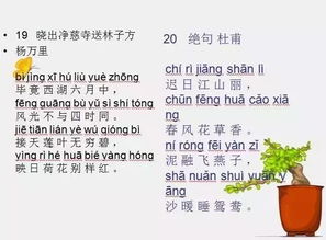 古诗三百首300首小学必背带拼音，背带拼音组词