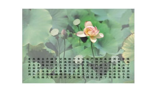 西洲曲是一首什么诗