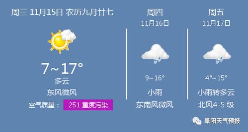 阜阳天气预报15天查询结果，阜阳天气预报15天查询当地