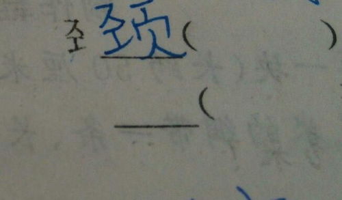 "宇"组词有哪些词语?