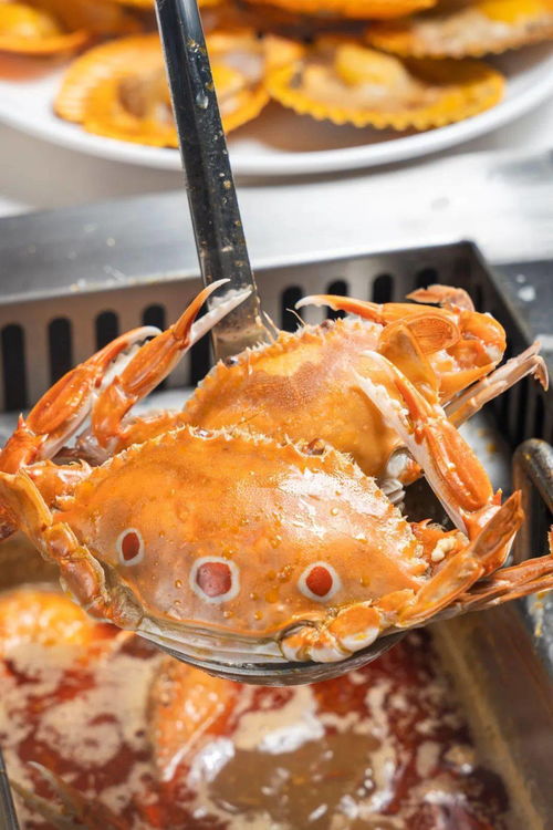 海蟹的生存本领是什么?