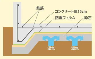 构造是什么意思?