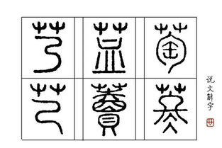 说文解字拼音，解字拼音怎么拼读