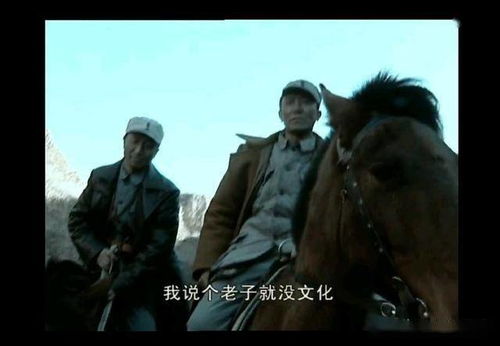 巴子是什么意思