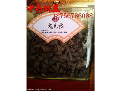 鬼见愁的功效与作用图片鬼针草的图片，鬼见愁的功效与作用用法