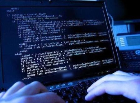 group是什么意思